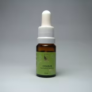 Coleus Floral de Minas 10 ml