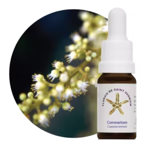 Coronarium Floral de Saint Germain 10ml