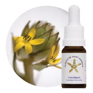 Curculigum Floral de Saint Germain 10 ml
