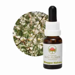 Dagger Hakea Floral do Bush Australiano 15 ml