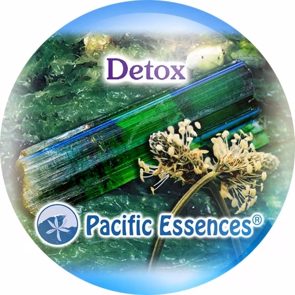 Detox Desintoxicação 25 ml - Imagem 2