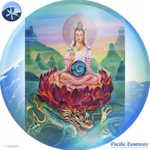 Deusa Kuan Yin Essência do Pacífico 25 ml