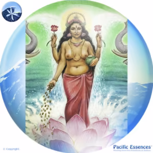 Deusa Lakshmi Essência do Pacífico 25 ml