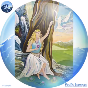 Deusa Persephone Essência do Pacífico 25 ml