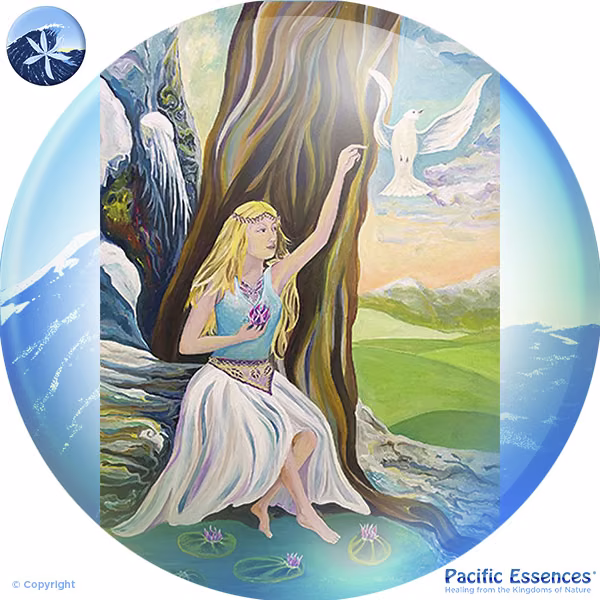 Deusa Persephone Essência do Pacífico 25 ml