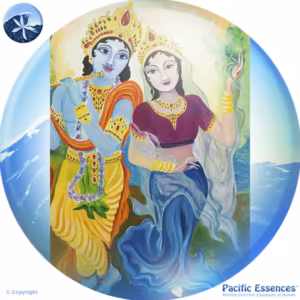 Deusa Radha Essência do Pacífico 25 ml