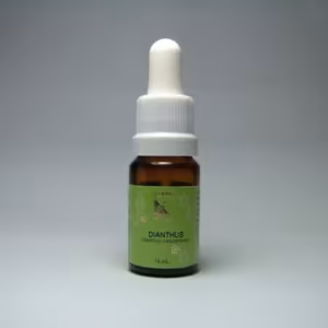 Dianthus Floral de Minas 10 ml
