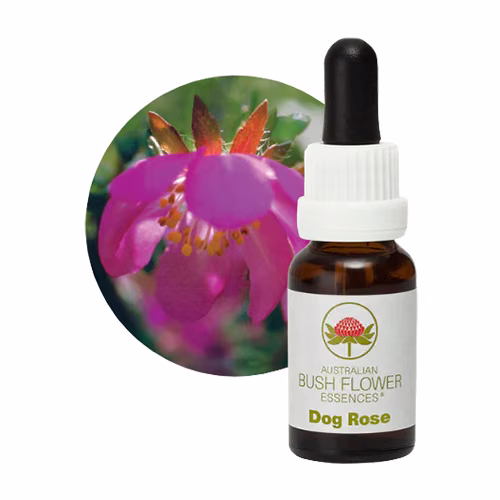 Dog Rose Floral do Bush Australiano 15 ml