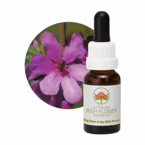 Dog Rose of the Wild Forces Floral do Bush Australiano 15 ml