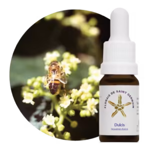Dulcis Floral de Saint Germain 10 ml