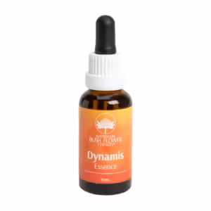 Dynamis Entusiasmo e Dinamismo Floral do Bush Australiano 30 ml