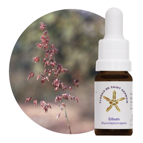 Erbum Floral de Saint Germain 10 ml