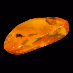 Essência Mineral Amber PAC