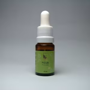 Ficus Floral de Minas 10 ml
