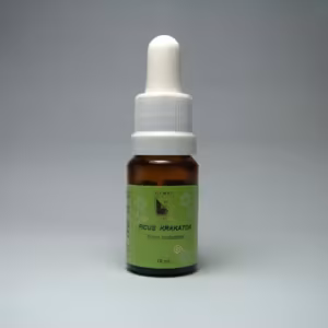 Ficus Krakatoa Floral de Minas 10 ml