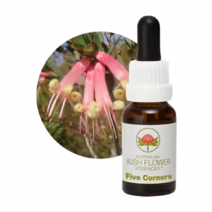 Five Corners Floral do Bush Australiano 15 ml
