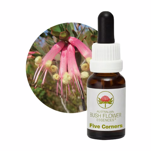 Five Corners Floral do Bush Australiano 15 ml