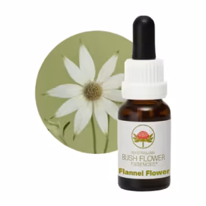 Flannel Flower Floral do Bush Australiano 15 ml