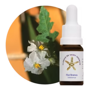 Flor Branca Floral de Saint Germain 10 ml