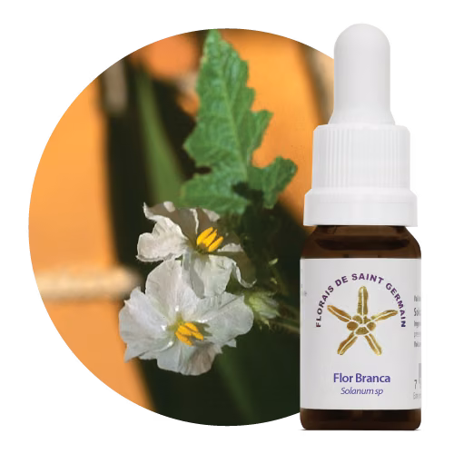 Flor Branca Floral de Saint Germain 10 ml