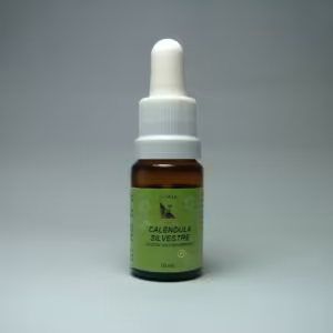 Floral Calendula Silvestre 10 ml