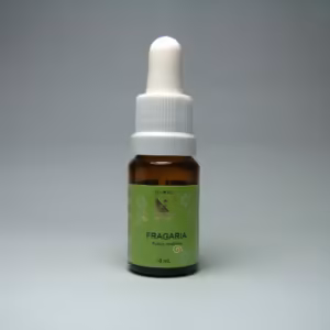 Floral Fragaria Floral de Minas 10 ml
