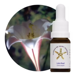 Floral Lírio Real 10 ml