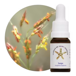 Floral Sorgo 10 ml