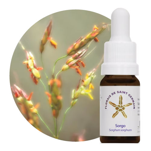 Floral Sorgo 10 ml