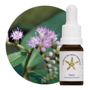 Floral Varus 10 ml