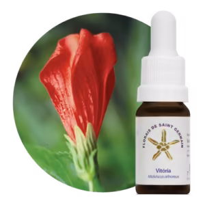 Floral Vitória 10 ml