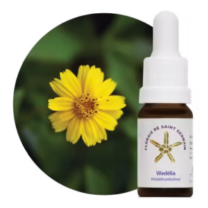Floral Wedélia 10 ml