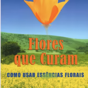 Flores que curam Como usar essências florais