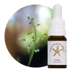 Focum Floral de Saint Germain 10 ml