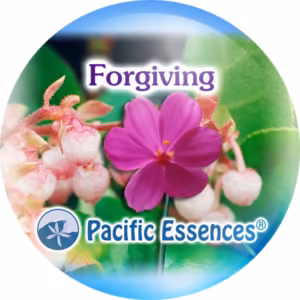 Forgiving Perdão Essência do Pacífico 25 ml