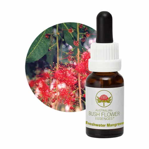 Freshwater Mangrove Floral do Bush Australiano 15 ml