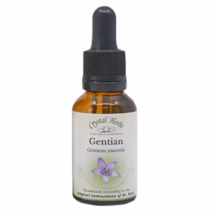 Gentian Floral de Bach 20 ml