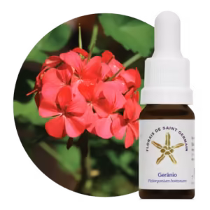 Gerânio Floral de Saint Germain 10 ml