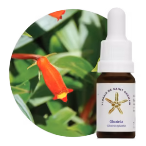 Gloxínia Floral de Saint Germain 10 ml