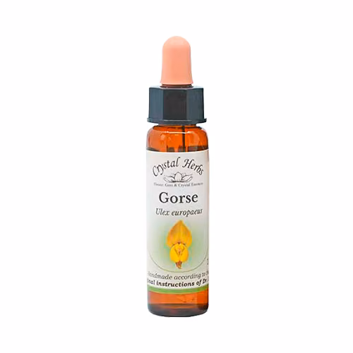 Gorse Floral de Bach 10 ml - Imagem 2