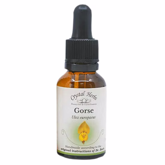 Gorse Floral de Bach 20 ml - Imagem 2