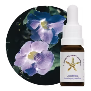 Grandiflora Floral de Saint Germain 10 ml