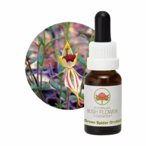 Green Spider Orchid Floral do Bush Australiano 15 ml