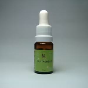 Gutagnello Floral de Minas 10 ml