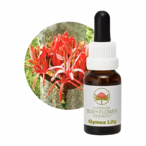 Gymea Lily Floral do Bush Australiano 15 ml