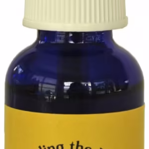 Healing the Past 25 ml