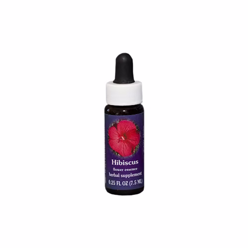 Hibiscus Floral da Califórnia - Imagem 3