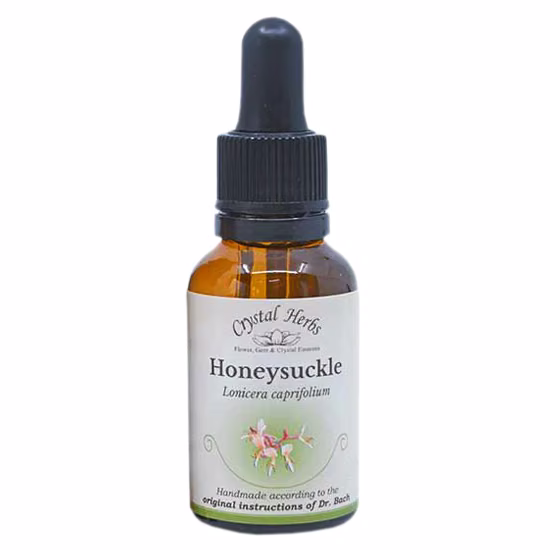 Honeysuckle Floral de Bach 20 ml - Imagem 2