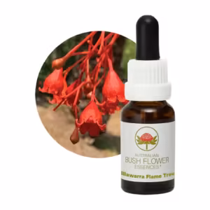 Illawara Flame Tree Floral do Bush Australiano 15 ml