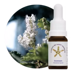 Incensum Floral de Saint Germain 10 ml